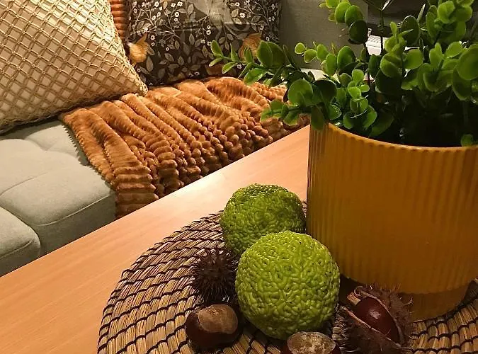 Erkel 19 Apartmanhaz 아파트